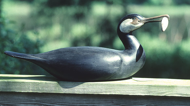 WEB-STROPTALK-Issue-10-Bob-Swain-Gallery3-Slider